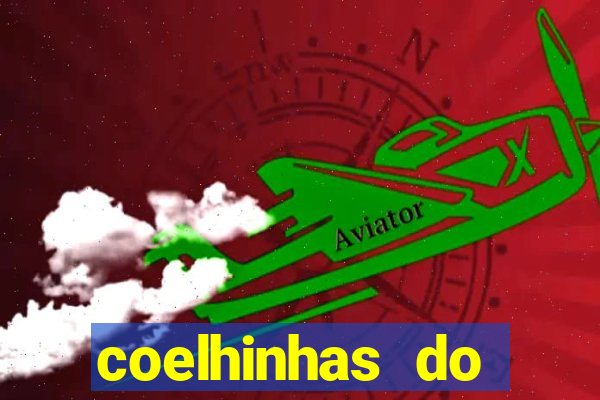 coelhinhas do brasil acompanhantes